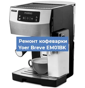 Замена прокладок на кофемашине Yoer Breve EM01BK в Красноярске
